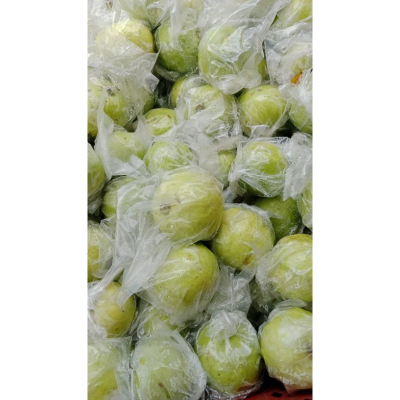 

Jambu Kristal 1/2 kg isi 3