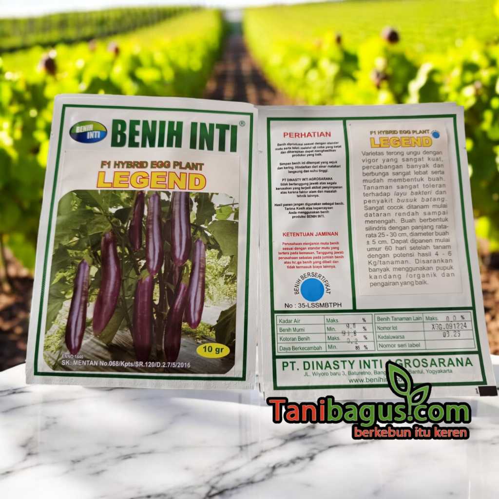 BENIH TERONG UNGU F1 HYBRID LEGEND 10 GR - BENIH INTI