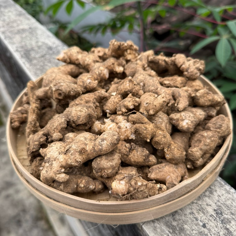 

Jahe Emprit Segar 1 kg / Jahe Organik JSR / Jahe Gunung Kawi Super Grade A