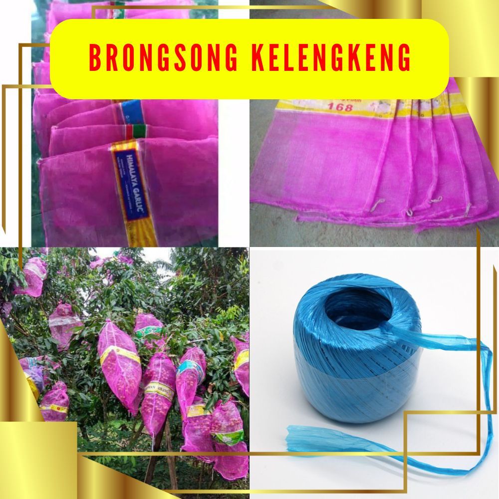 Karung buah kelengkeng, Karung Brongsong Kelengkeng, Karung Brongsong Klengkeng 10pcs + TALI
