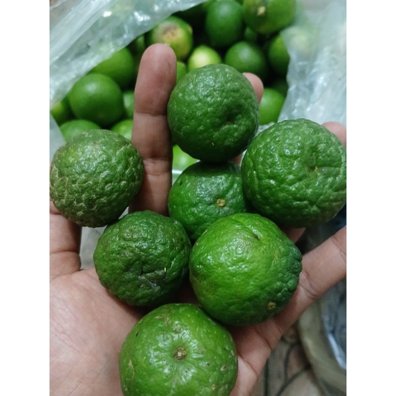 

INSTAN - JERUK LIMAU / JERUK LIMO 500GRAM