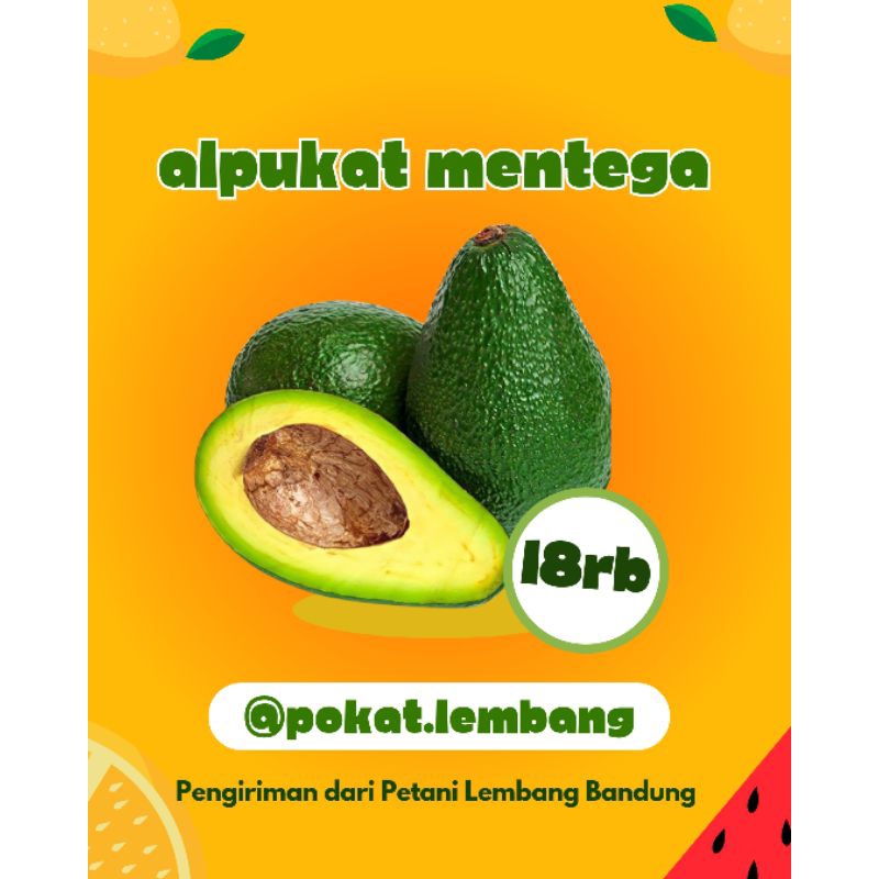 

ALPUKAT MENTEGA PREMIUM ASLI LEMBANG | 1 KG ISI 4-5