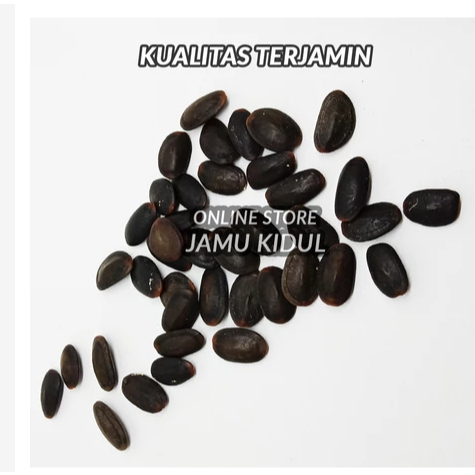 

Biji Kedawung 250gr - Dawung - Kedaung Murah