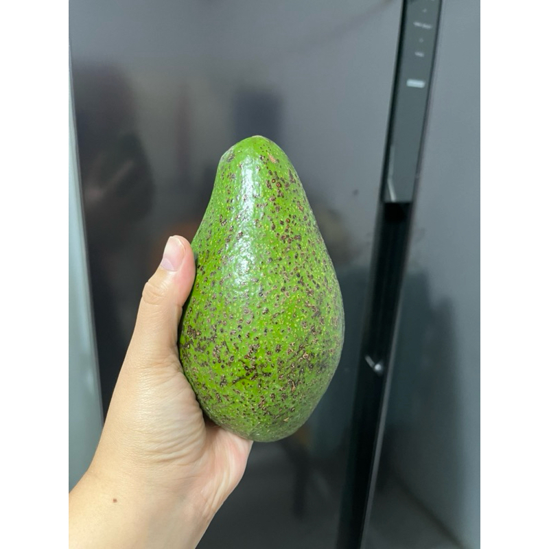 

Alpukat mentega 1kg 2-3buah perkilo
