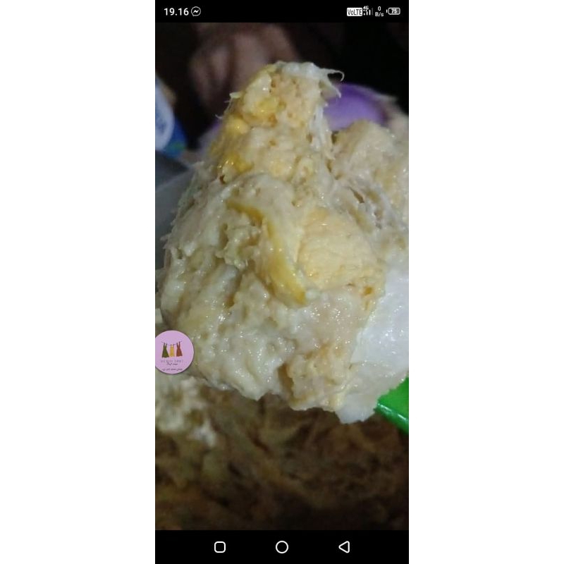 

READY TEMPOYAK DURIAN ASLI 500GR (FERMENTASI BATU)