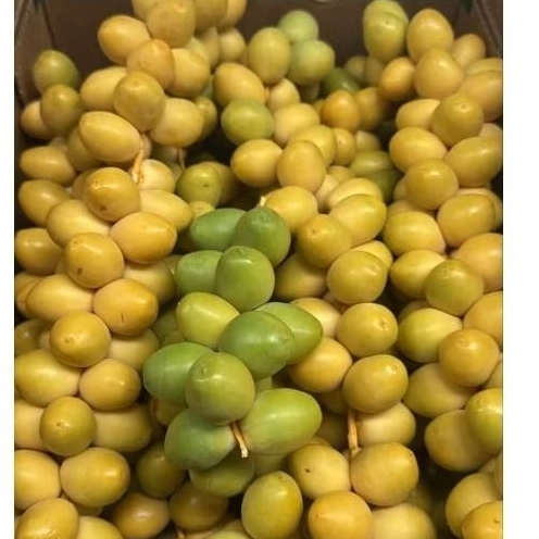 

PO 18 Agustus Kurma Muda BARHEE 250gram Kuning Mix Merah Free Zuriat