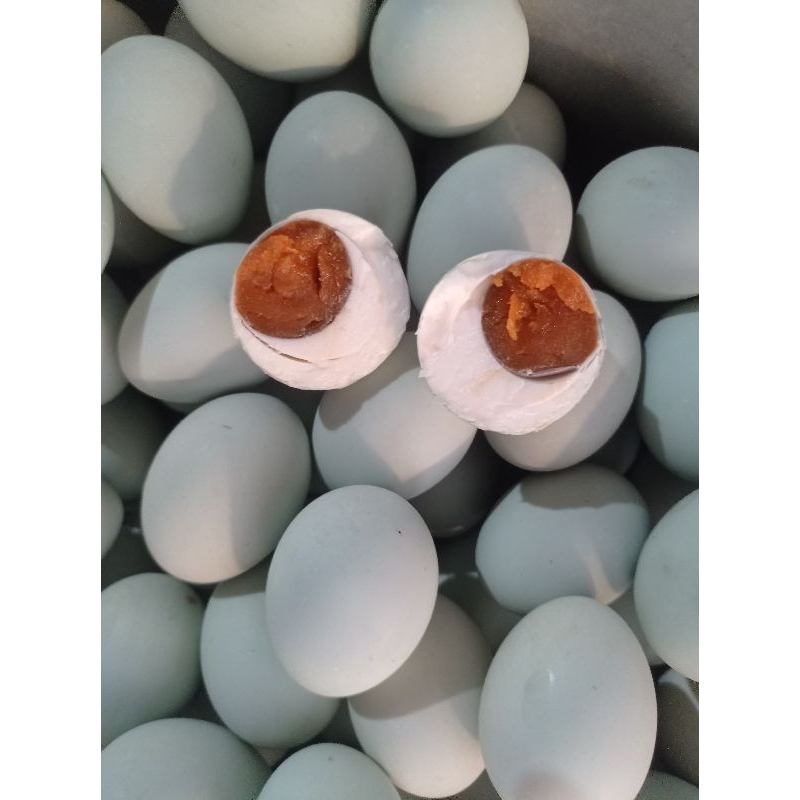 

TELUR ASIN UKURAN BESAR masir asin nya pas