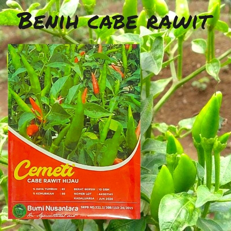 BENIH CABE RAWIT UNGGUL TEGAK HIJAU CEMETI 10 GR
