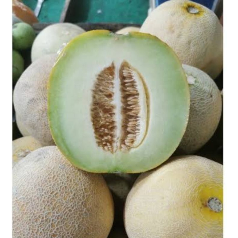 

Melon Madu (2,1 KG)