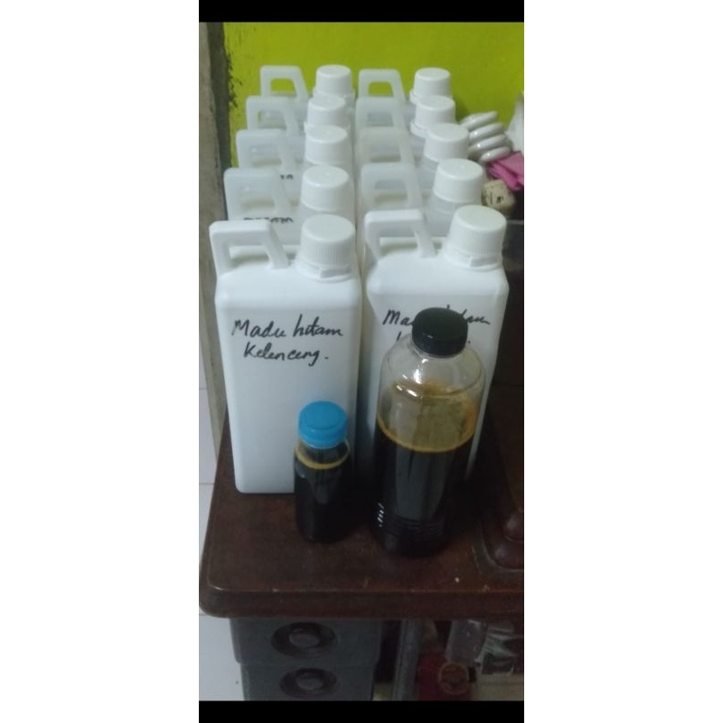 

madu trigona levicep