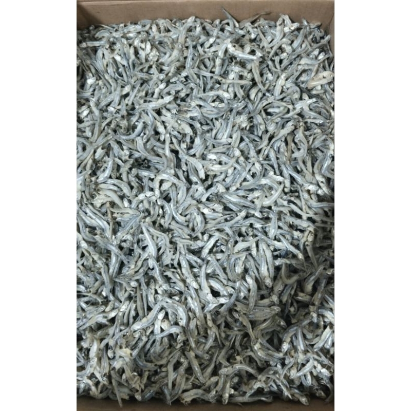 

teri rebus jengki seperapat 20rb bisa COD