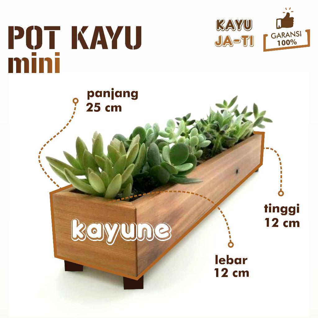 Pot Kayu Mini Box Tanaman Hias Sekulen dan Kaktus Kecil Ukuran 25x12x12 cm Bahan Kayu Jati Jawa Asli