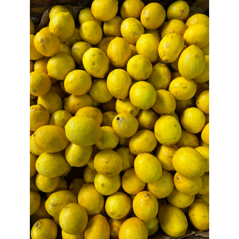 

Buah Lemon Fresh 1kg