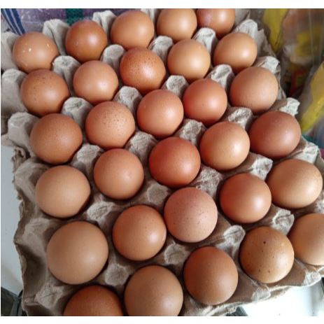 

TELUR AYAM NEGERI 1 KG FRESH BANDUNG