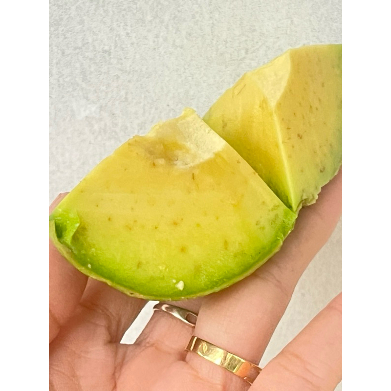 

aligator/kendil/mentega