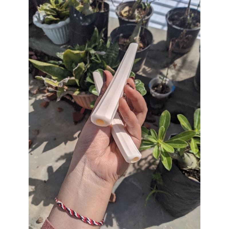 Pipa once cangklong Tulang sapi model blimbing spesial