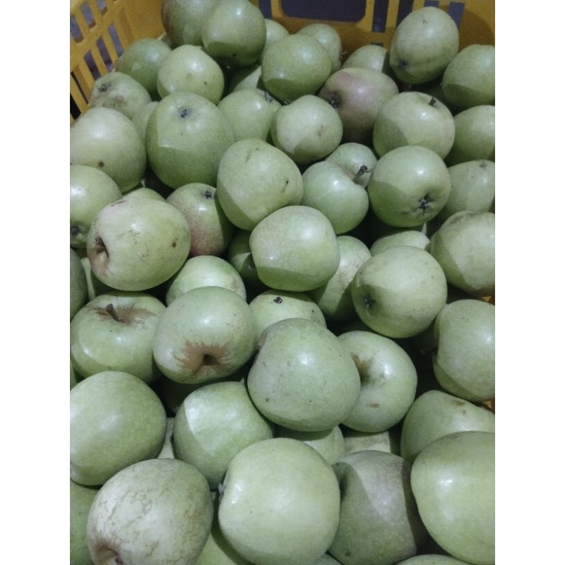 

apel manalagi sedang (isi 10-13 ) 1kg/apel malang