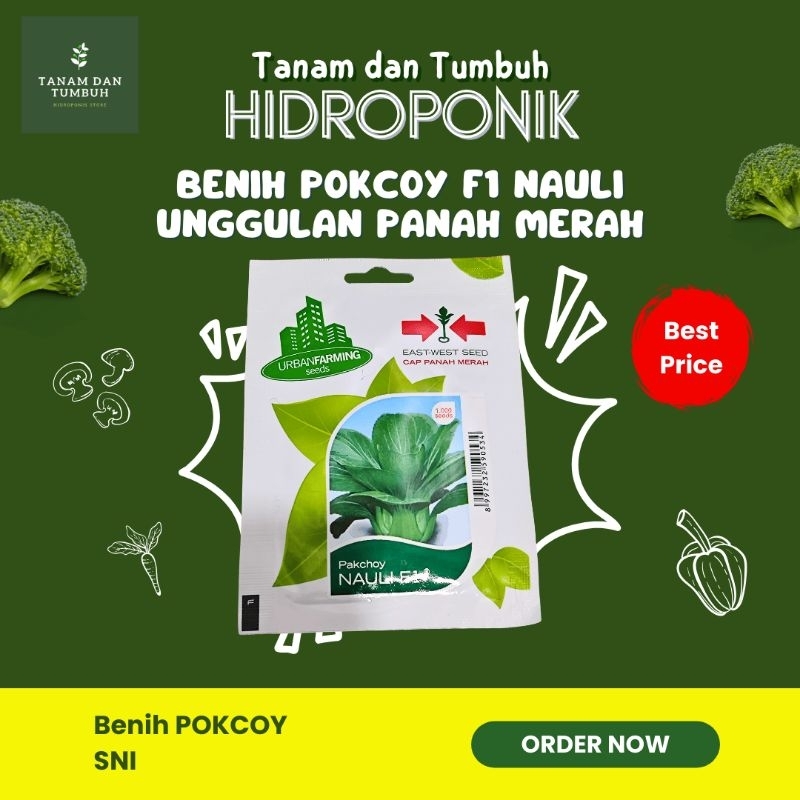 BENIH POKCOY / PAKCOY F1 NAULI - PANAH MERAH