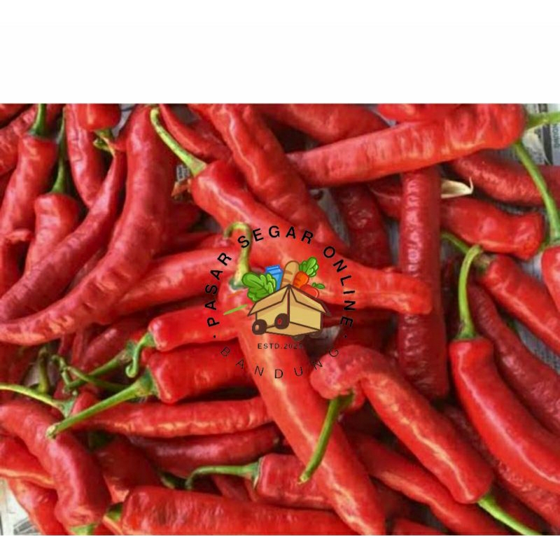 

CABE MERAH TANJUNG CABAI BUMBU SAYUR PASAR BAHAN MAKANAN SEGAR BANDUNG