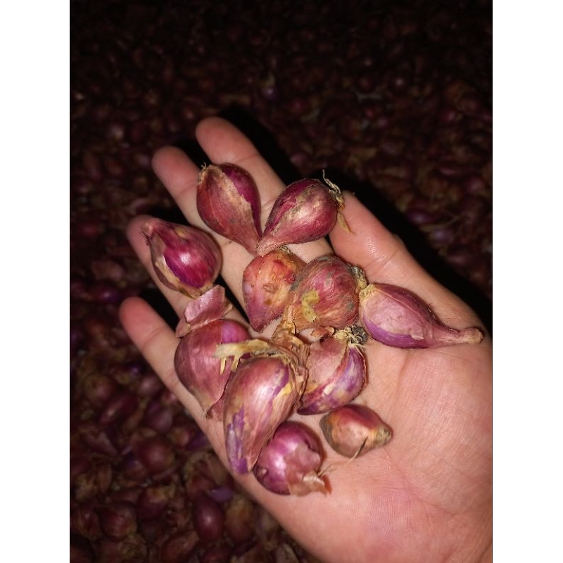 

bawang merah murah, bawang merah brebes 500g