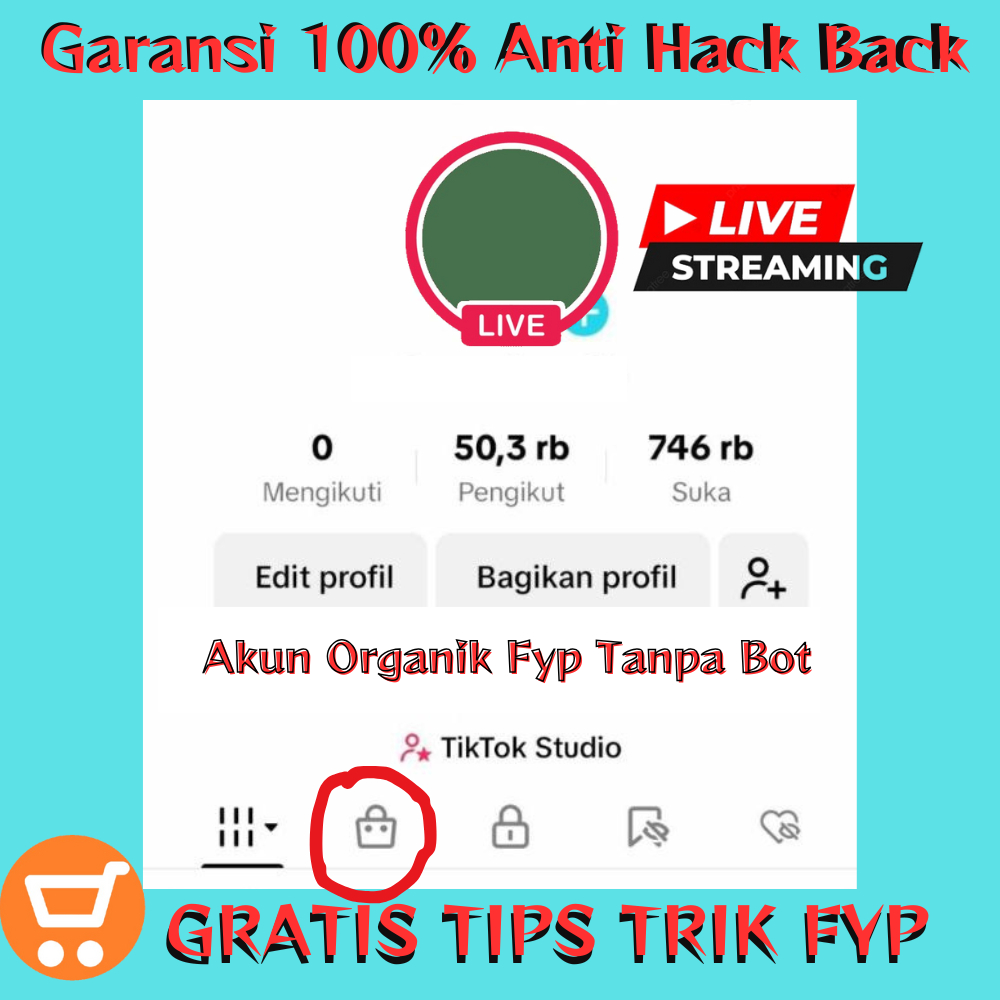 Akun Tuktuk TT Asli Real Pengikut Indonesia