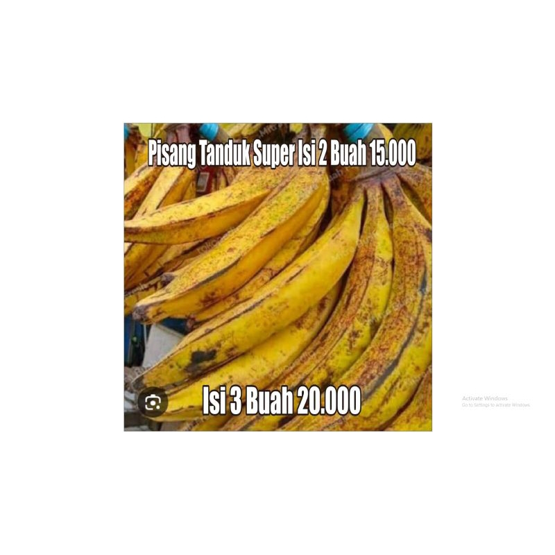 

pisang tanduk sukabumi