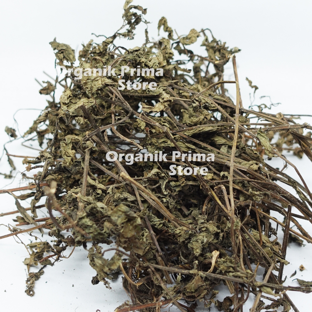 

Daun Mint Kering 500gr Harum dan Organik