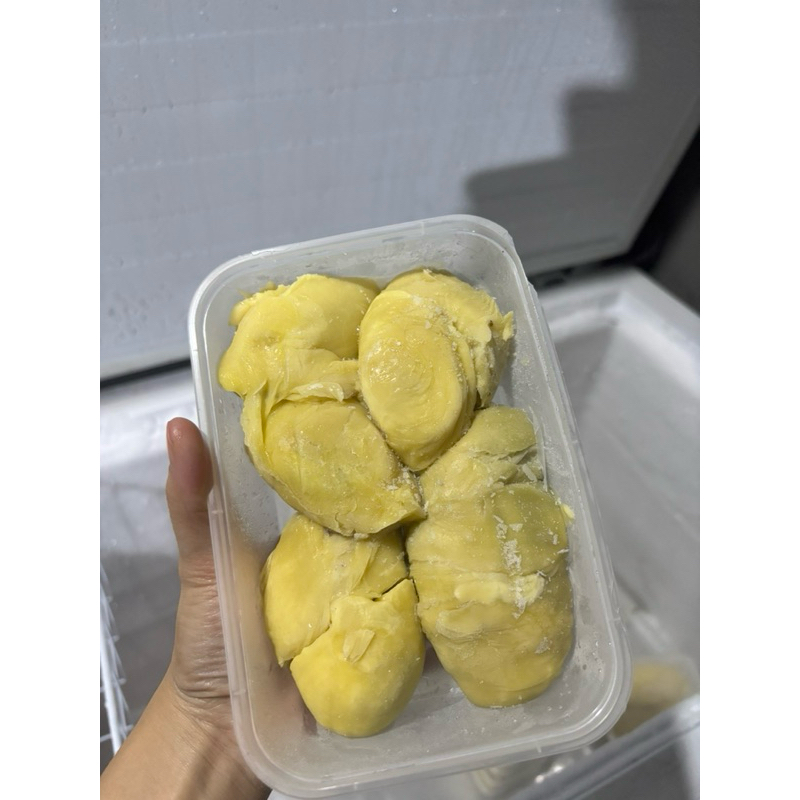 

DURIAN MEDAN