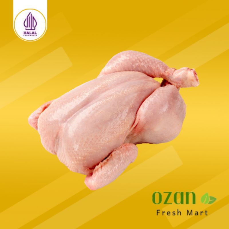 

Ayam negeri/broiler/karkas utuh tidk dipotong ( fresh & frozen ) 700-1000 gr