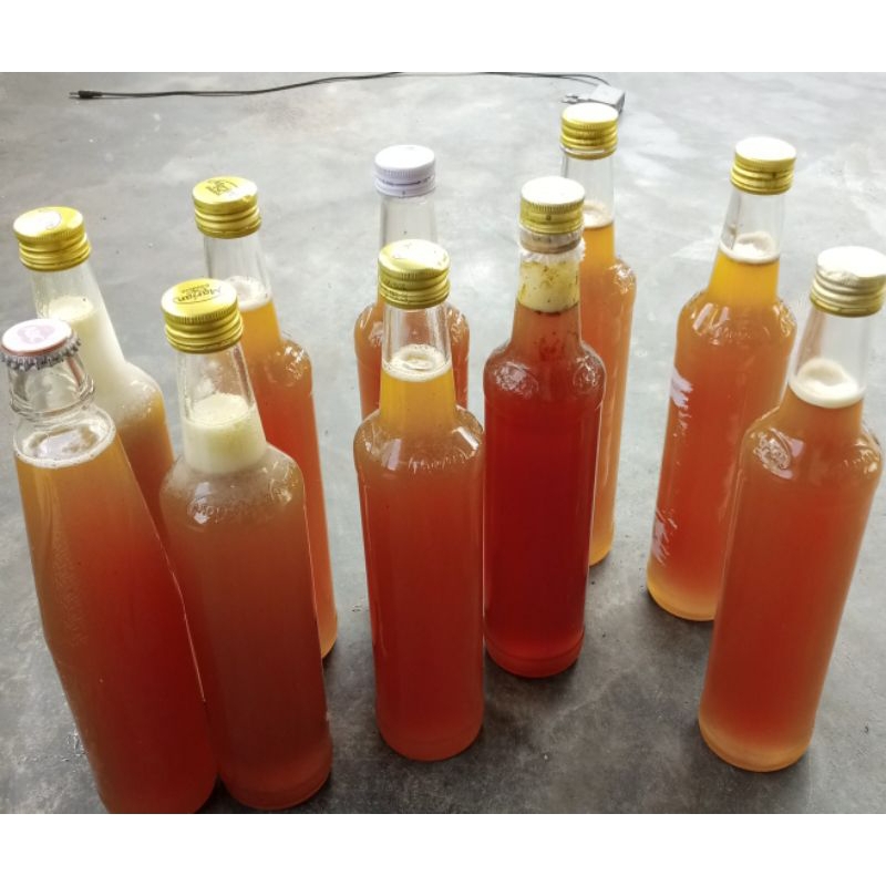 

madu hutan asli 100%