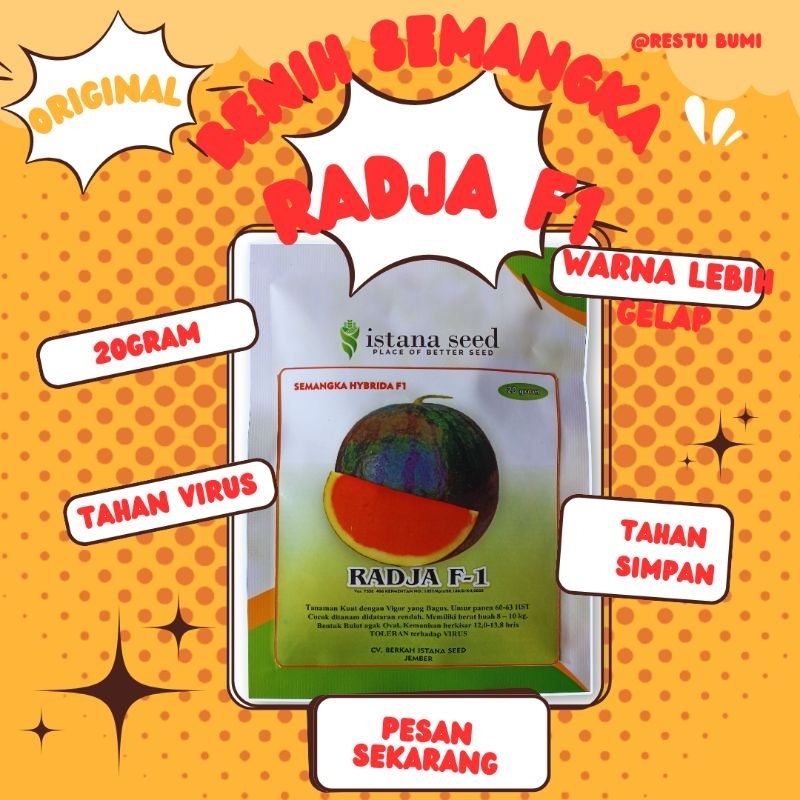 Benih Semangka Hibrida Non Biji Merah (Seedless) RADJA F1 isi 20 gram dari Istana Seed