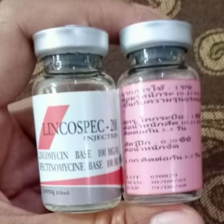 Lincospec 200 dosis 10ml Original Produk ( Red New Formula ) Antibiotik Obat Ayam Sakit Snot Ngorok 