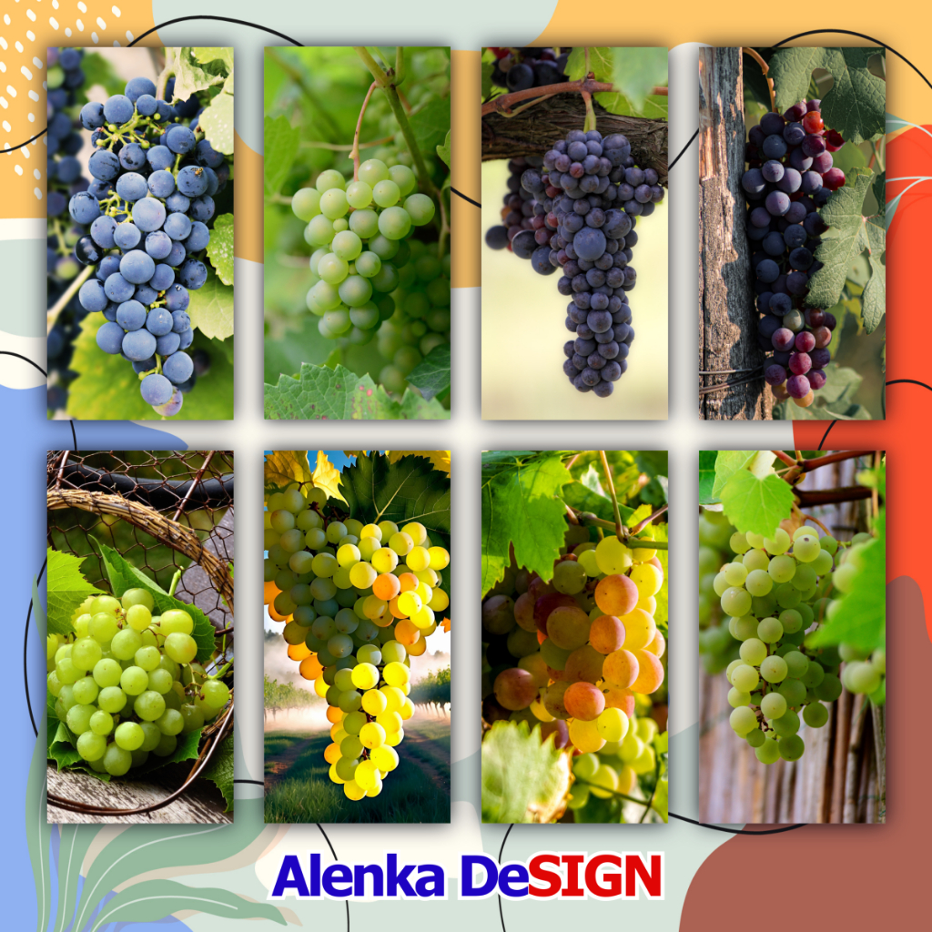 20 x 40 Premium | Hiasan dinding, Dekorasi Rumah Dapur Kamar, Hiasan Modern, Tema Buah dan sayur