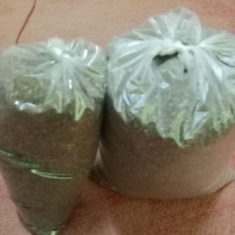 limbah ulat jerman untuk media tanam dan pupuk alami 1kg - 2kg