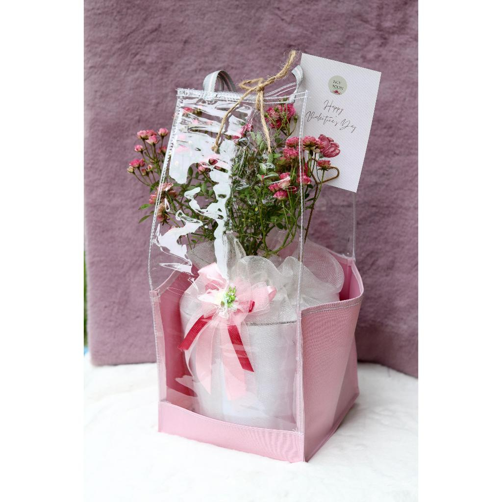 Kado Valentine Romantic Mini Rose / Mawar Mini Pink Tanaman Hidup Unik Ngeboon