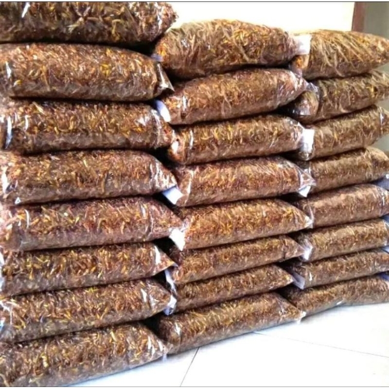 

Belalang goreng 1 KG belalang utes belalang padi