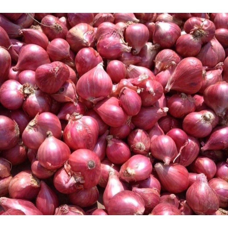 

bawang merah 1 kg murah meriah