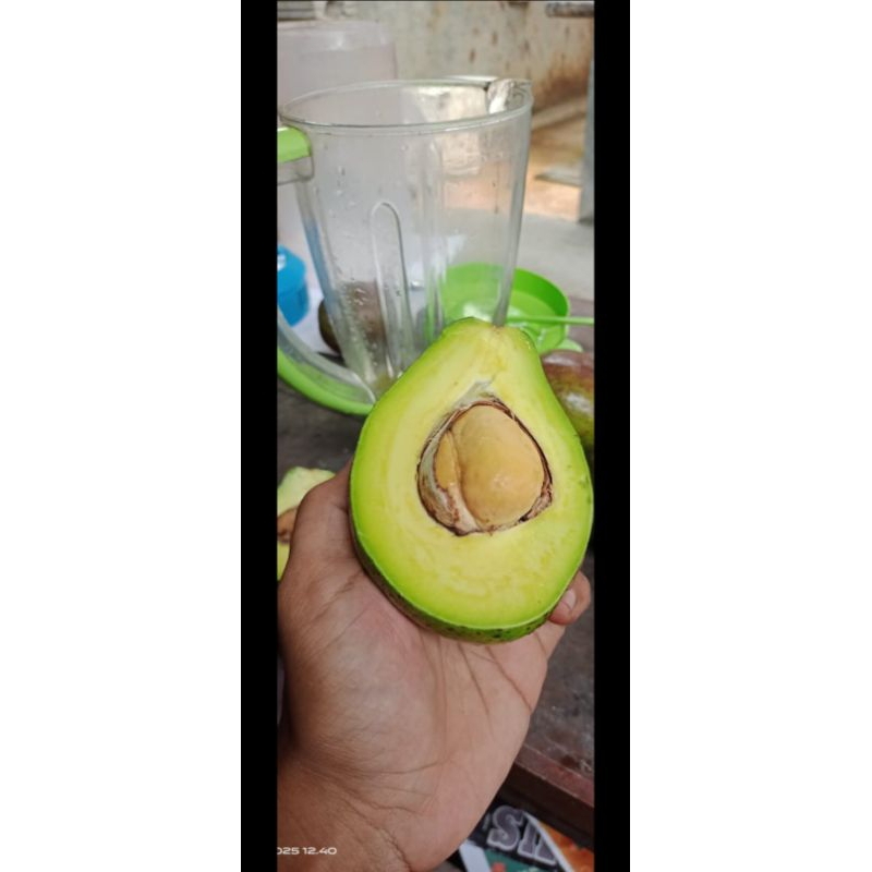 

ALPUKAT MENTEGA ORI isi 3-4/KG