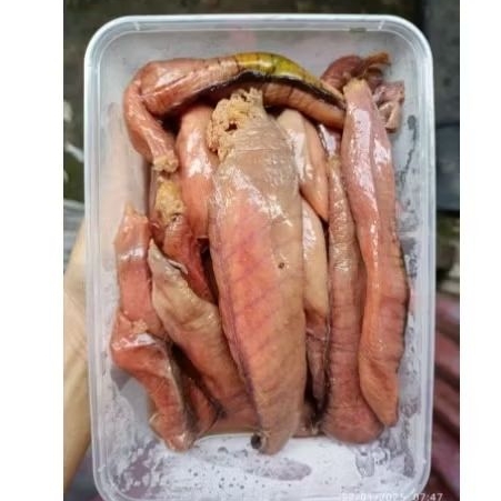 

TELUR TUNA ⅕KG PERKOTAK