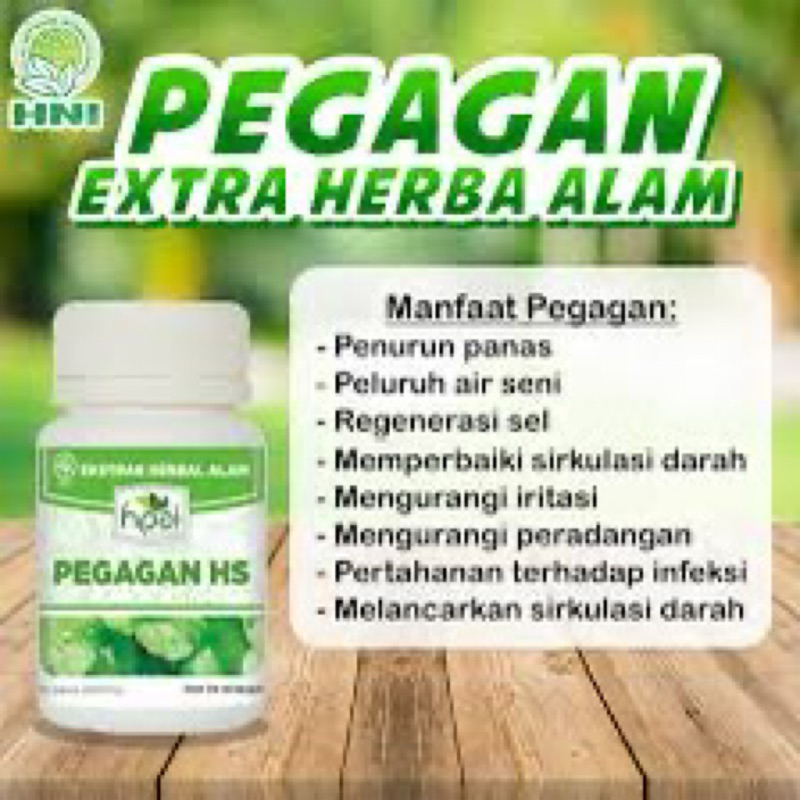 PEGAGAN HNI