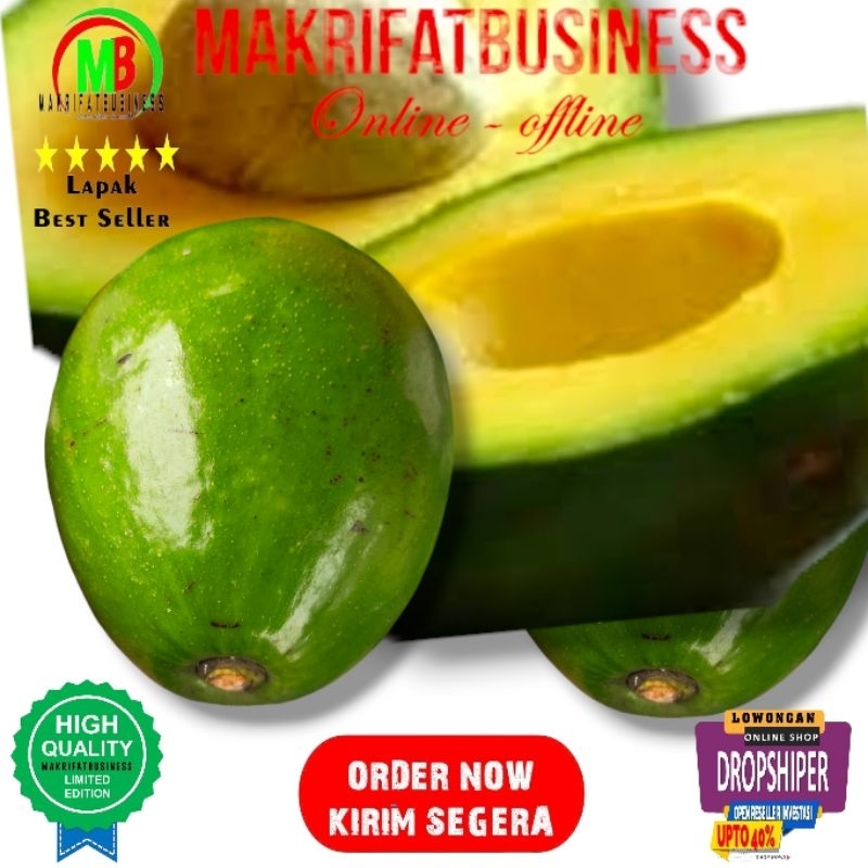 

MAKRIFATBUSINESS Paket 2 kg 2 - 4 Buah APUKAT MIKI MENTEGA Kwalitas Grad A Super Asli Langsung Petik Pohon