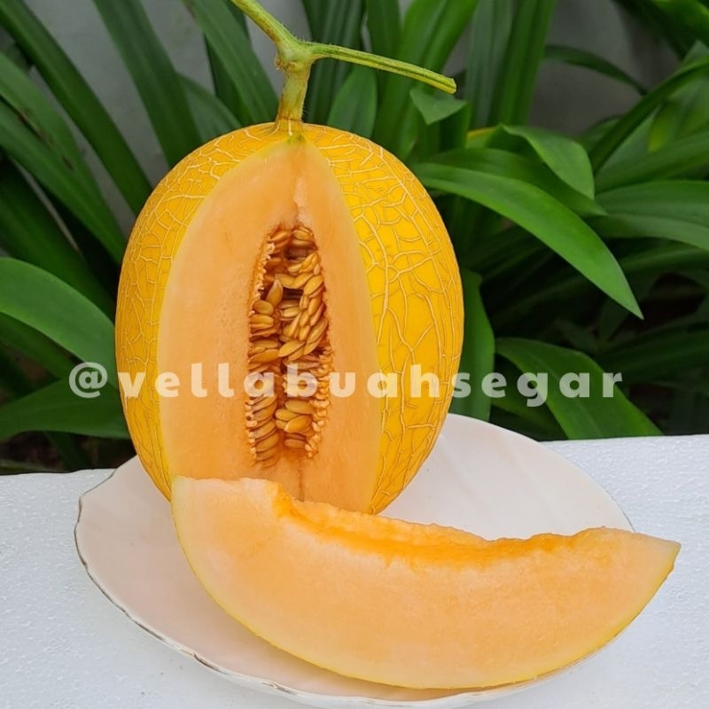 

[INSTAN/SAMEDAY] Melon Lavender Melon Premium Melon Sultan Manis Enak 1buah