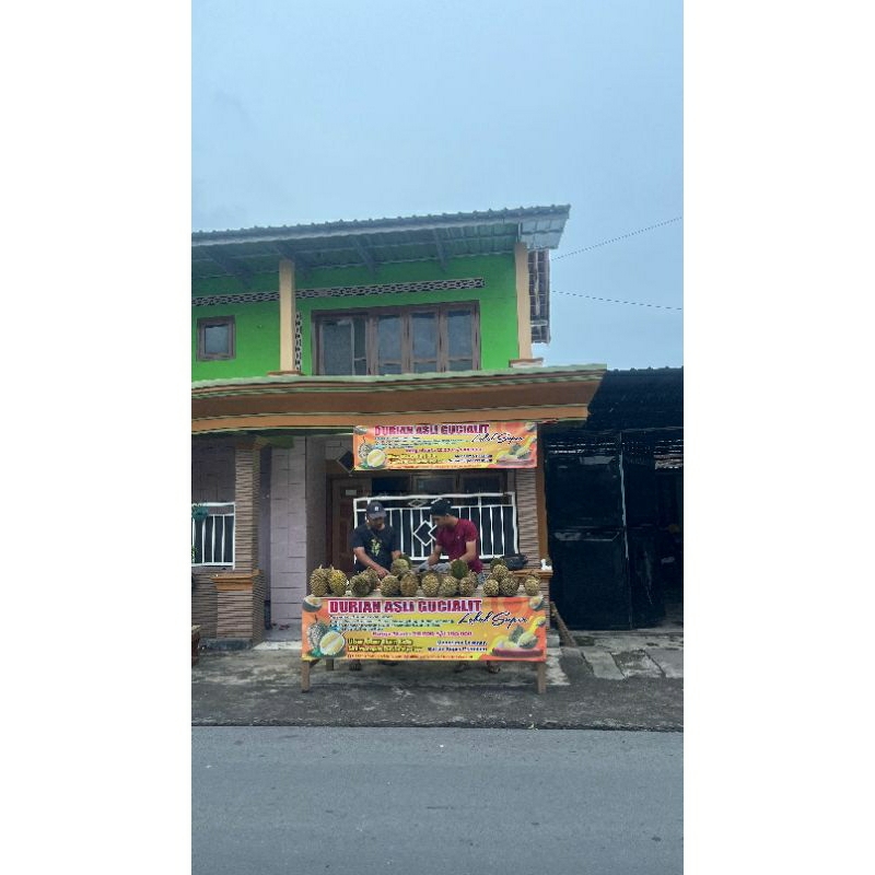

Durian Montong