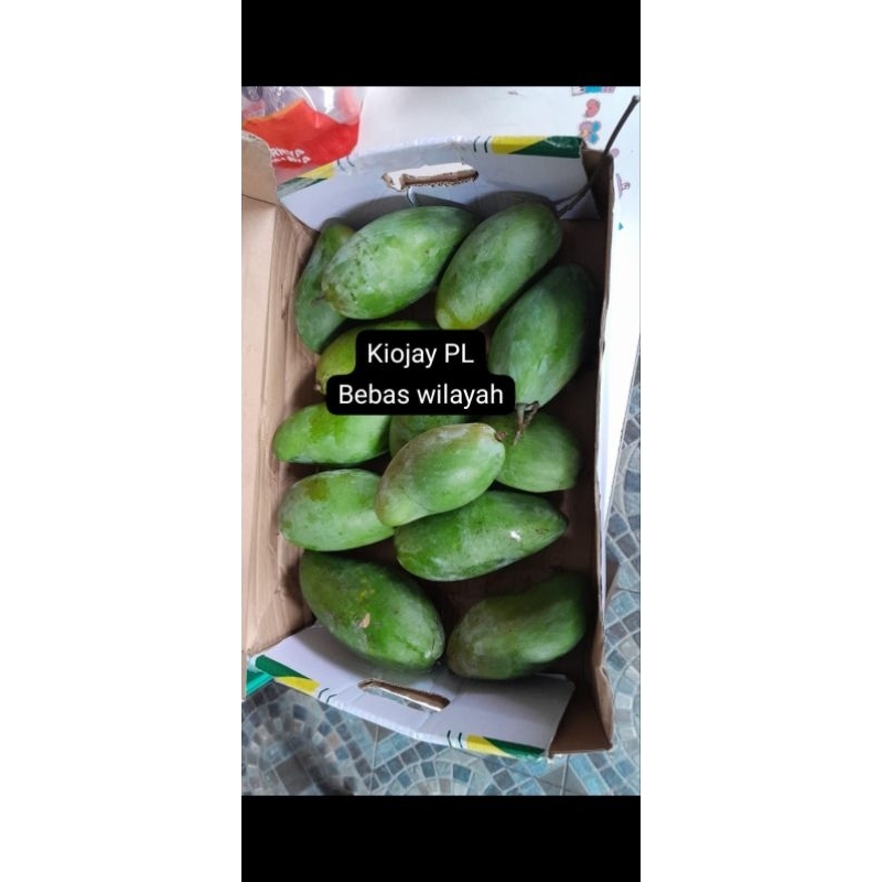 

KIOJAY PL/KUALITAS NO 2 (LEBIH KECIL DAN BENTUK KURANG SEMPURNA)