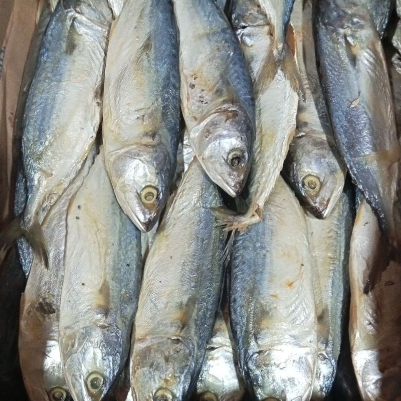 

IKAN ASIN PEDA KECIL