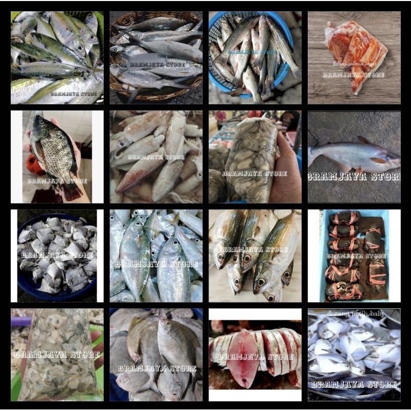 

PAKET MACAM² IKAN SEGAR @1kg