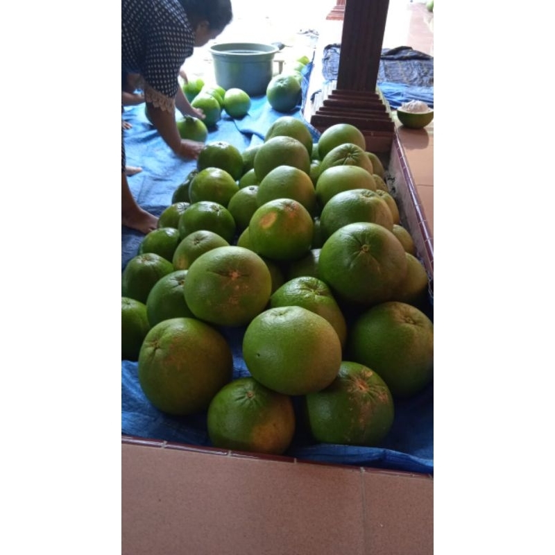 

JERUK PAMELO madu bageng berat 10kg