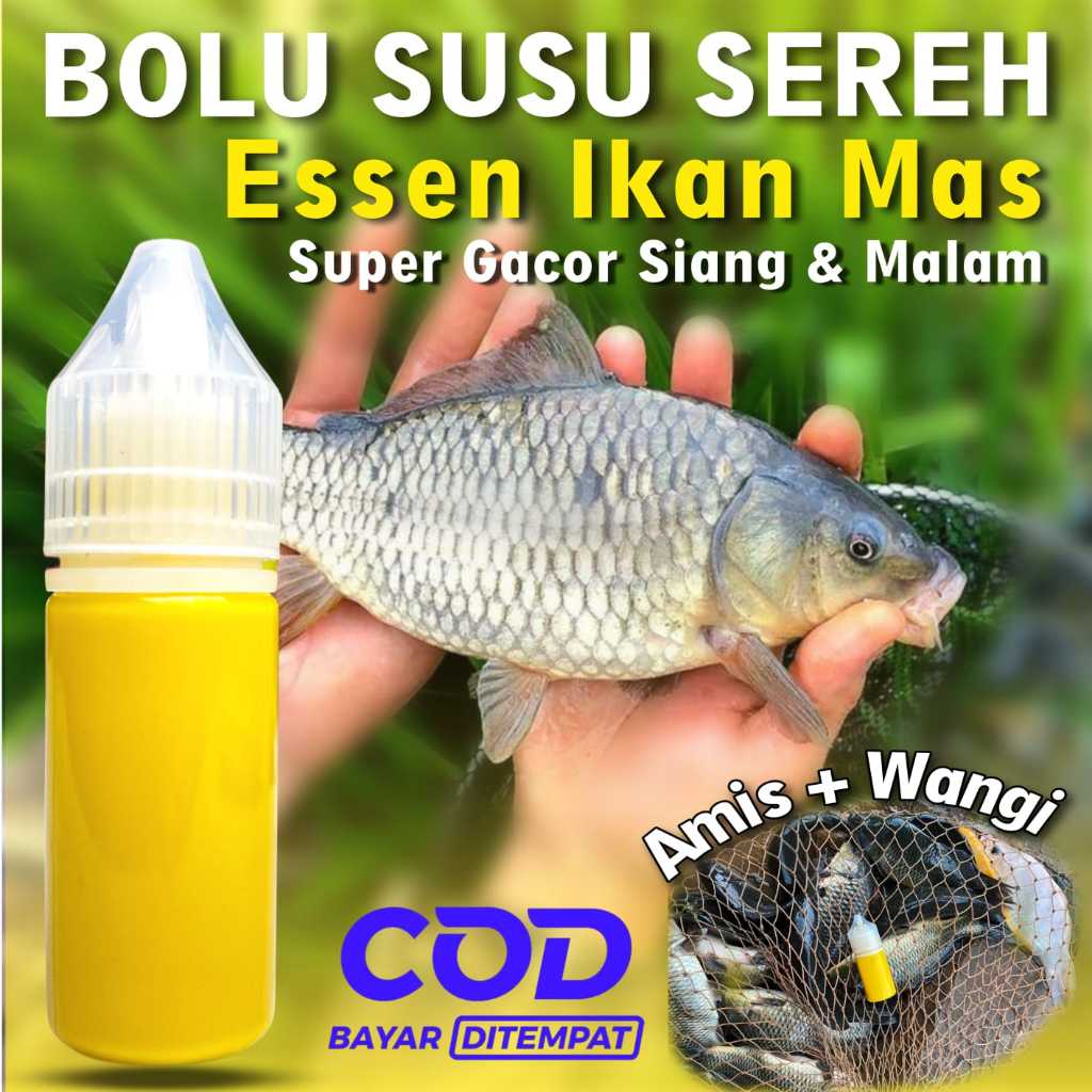 Essen Oplosan Bolu Susu Sereh Paling Gacor, Essen Ikan Mas Amis Wangi, Gurih, Essen Ikan Mas Paling 