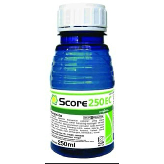 score 250ml