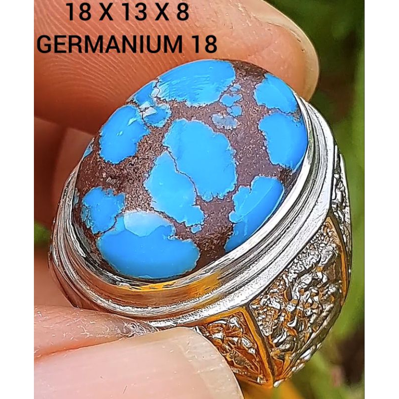 pirus mesir  ceplok kuro  top